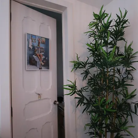 Giraffe House Apartment *